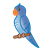 Blue Parakeet Color PNG