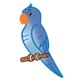 Blue Parakeet on perch