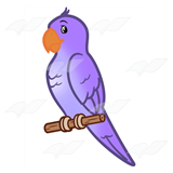 Purple Parakeet