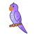 Purple Parakeet Color PDF