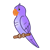 Purple Parakeet Color PNG