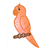 Orange Parakeet Color PDF