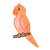 Orange Parakeet Color PNG