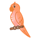 Orange Parakeet on perch