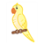 Yellow Parakeet Color PDF