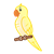 Yellow Parakeet Color PNG