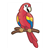 Red Parrot Color PDF
