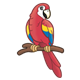 Red Parrot with yellow and blue wings
