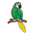 Green Parrot Color PDF