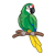 Green Parrot Color PNG