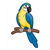 Yellow  Parrot Color PDF