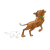 Dog and Cat Color PNG