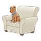 White Chair with dog sitting on top