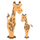 Two Giraffes adult and baby