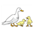 Ducks Color PDF