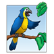 Parrot with a sky background