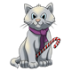 Gray Kitten with a candy cane and purple scarf