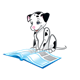 Dalmatian Puppy reading a book