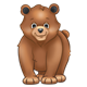 Brown Bear Cub standing