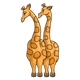 Two Giraffes 
