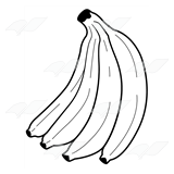 Bunch of Bananas 1