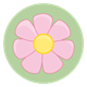Pink Flower with a light green background