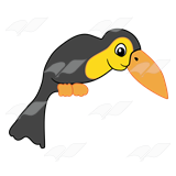Black Toucan