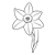 Yellow Daffodil Line PNG