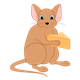 Light Brown Mouse eating a piece of cheese