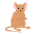 Light Brown Mouse Color PNG