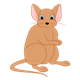 Light Brown Mouse 