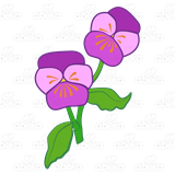 Two Purple Pansies