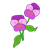 Two Purple Pansies Color PNG