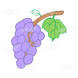 Purple Grape Cluster