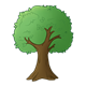 Tree with a bushy green crown