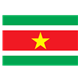 Suriname Flag 