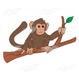 Monkey on a Branch