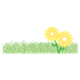 Two Yellow Flowers with green grass