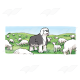 Sheepdog with Sheep
