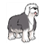 Sheepdog Color PDF