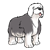 Sheepdog Color PNG