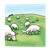 Sheep on a Hill Color PNG