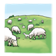 Sheep on a Hill 