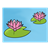Two Water Lilies Color PNG