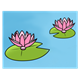 Two Water Lilies 