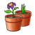 Two Clay Pots Color PNG