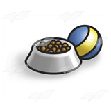 Food Dish and Ball