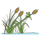 Frog Climbing on cattails