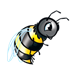 Bee with transparent wings