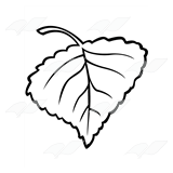 Poplar Leaf